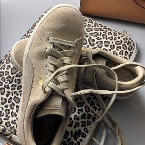Puma